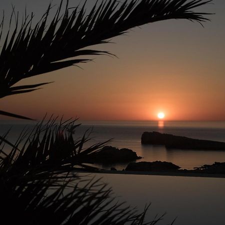 Villa Anatoli Mykonos Town 外观 照片